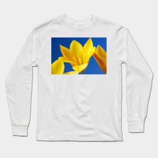 Golden lady tulip or Tulipa clusiana var. chrysantha Long Sleeve T-Shirt